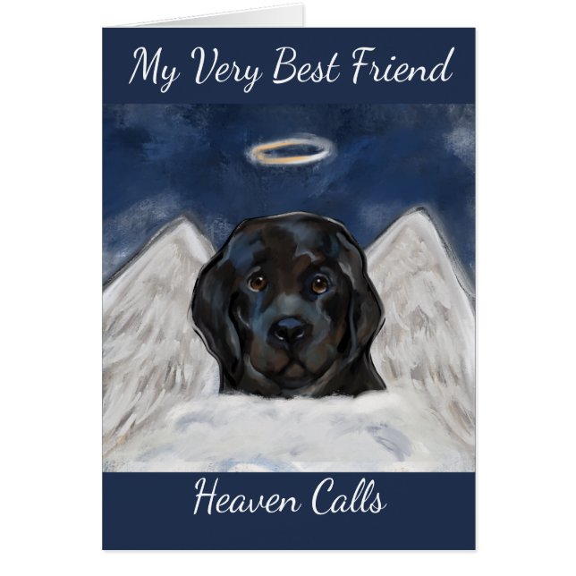 Newfoundland Dog (Front)