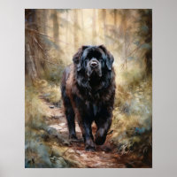 Newfoundland Dog Art Print Poster