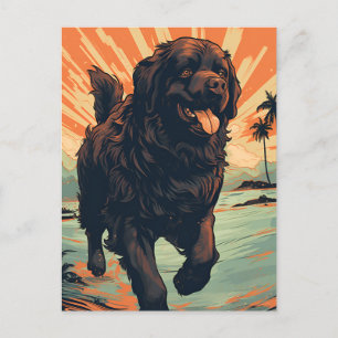 Newfoundland-dog at the beach postcard