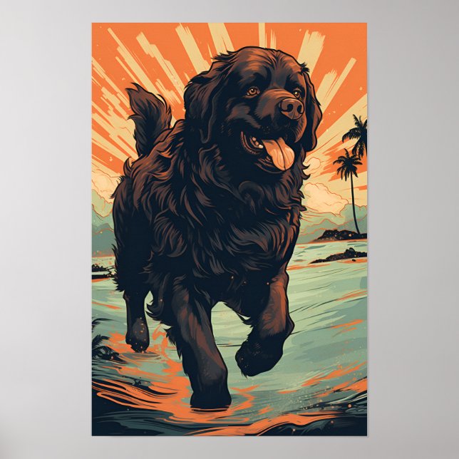 Newfoundland-dog at the beach poster (Front)