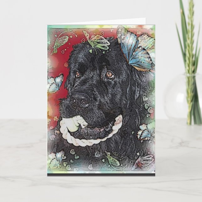 Newfoundland Dog Blank greeting Card (Front)