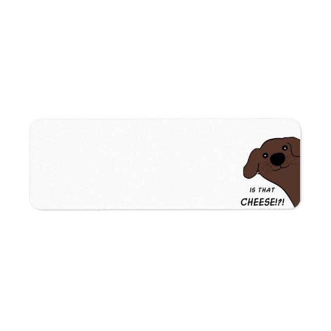 Newfoundland Dog Brown Is That Cheese (Front)