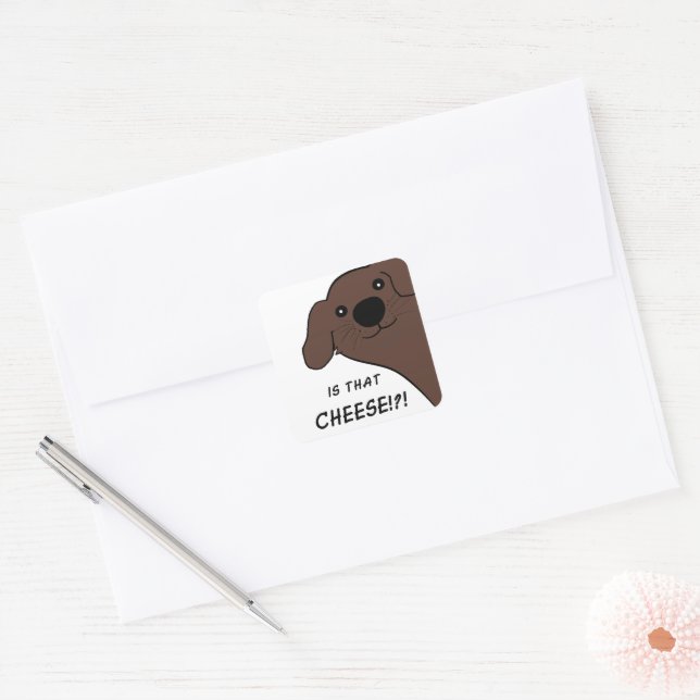 Newfoundland Dog Brown Is That Cheese Square Sticker (Envelope)