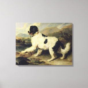 Newfoundland Dog Called Lion, 1824 (oil on canvas) Canvas Print