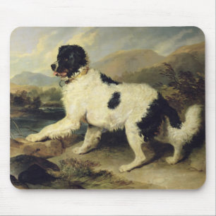 Newfoundland Dog Called Lion, 1824 (oil on canvas) Mouse Pad