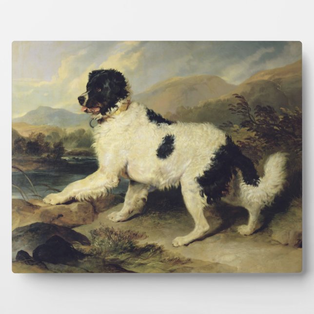 Newfoundland Dog Called Lion, 1824 (oil on canvas) Plaque (Front)