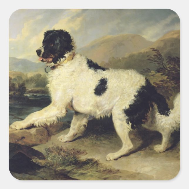 Newfoundland Dog Called Lion, 1824 (oil on canvas) Square Sticker (Front)