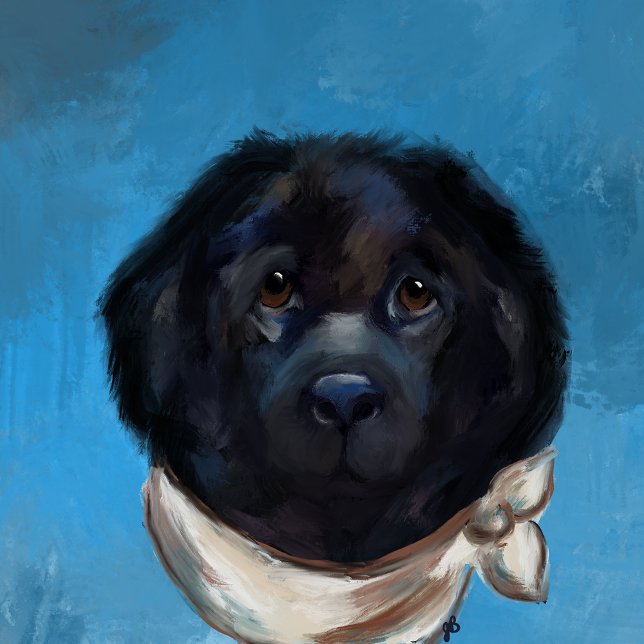 Newfoundland Dog                Canvas Print (Creator Uploaded)