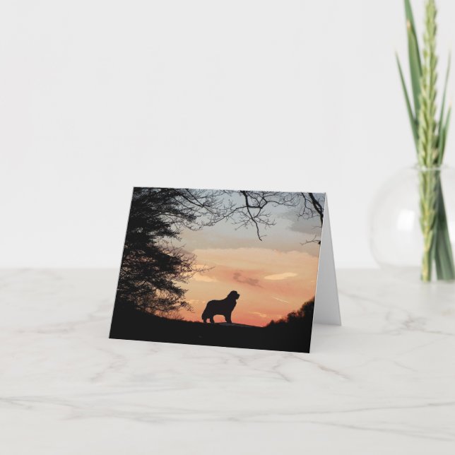 Newfoundland Dog Card (Front)