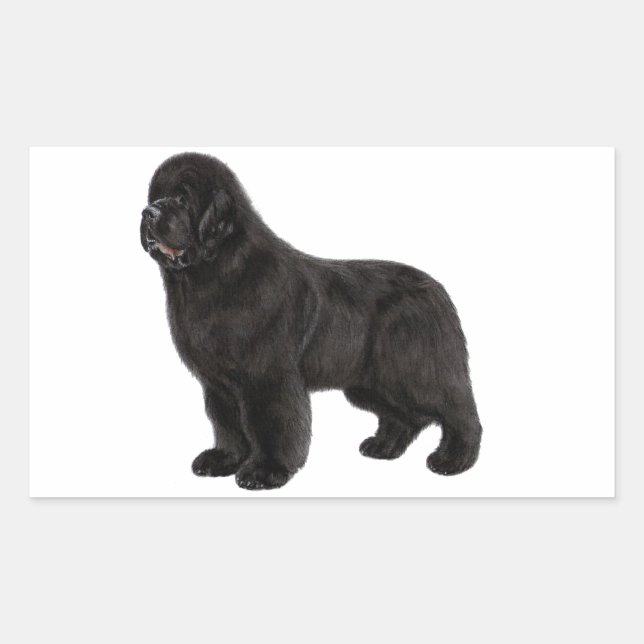 Newfoundland Dog Charcoal Drawing Sticker (Front)