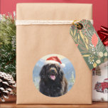 Newfoundland dog Christmas Classic Round Sticker<br><div class="desc">Colourful design of a Newfoundland dog wearing a santa hat walking through the snowy mountains and wishes a merry christmas.</div>