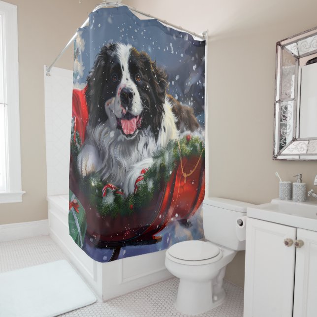 Newfoundland Dog Christmas Festive (In Situ)