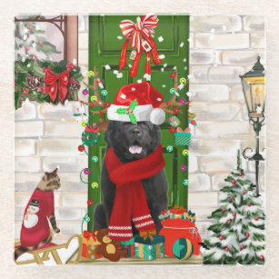 Newfoundland Dog Christmas  Glass Coaster
