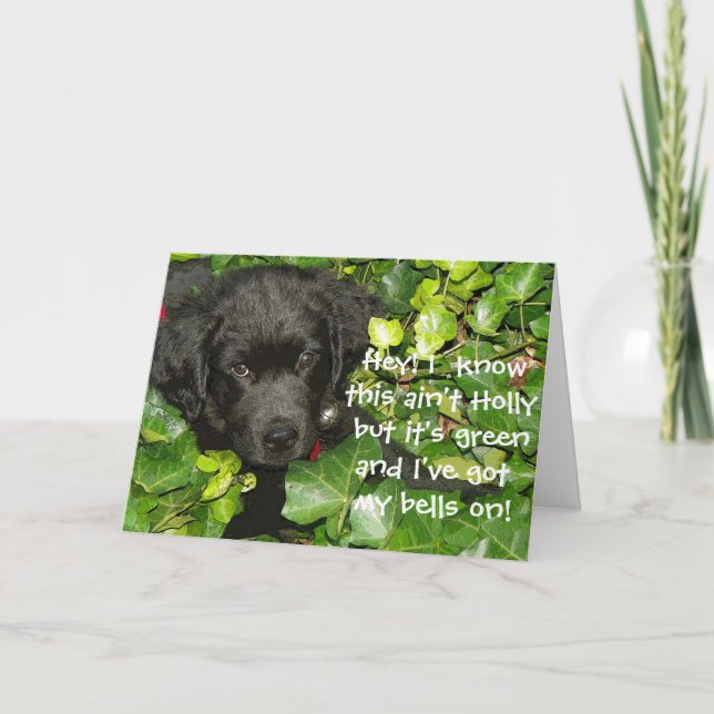 Newfoundland Dog Christmas Greeting Holiday Card (Front)