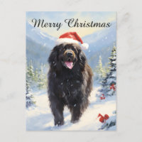 Newfoundland dog Christmas