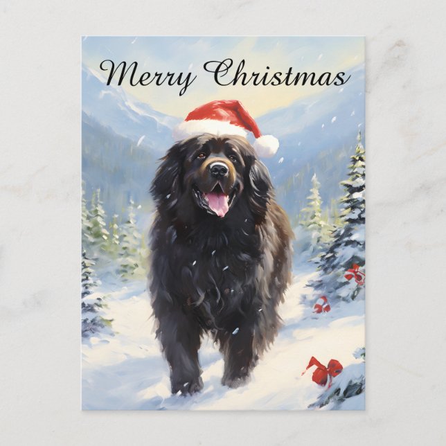 Newfoundland dog Christmas Holiday Postcard (Front)