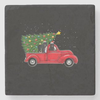 Newfoundland Dog Christmas On Red Car Truck Xmas Stone Coaster