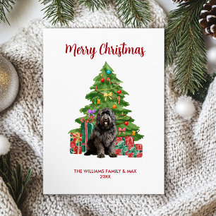 Newfoundland Dog Family Christmas Holiday Card