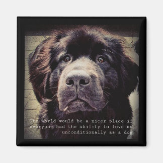 Newfoundland dog fridge magnet