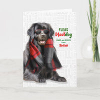 Newfoundland Dog Funny Fleas Navidog with Name