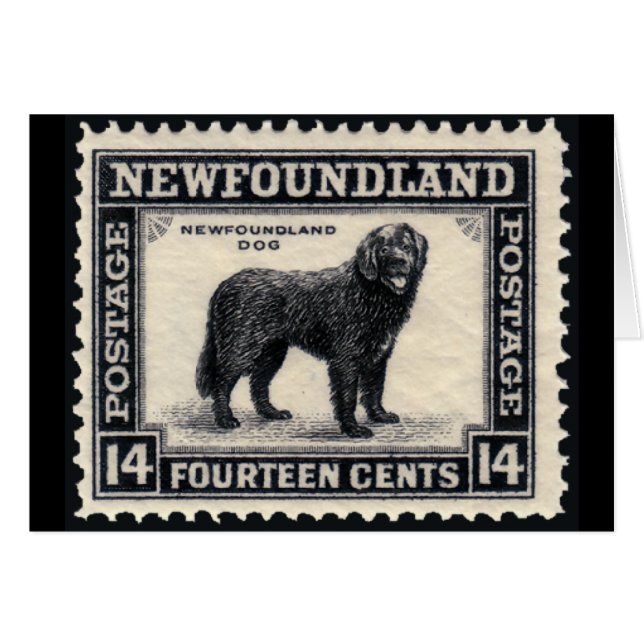 Newfoundland Dog Gifts (Front Horizontal)