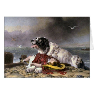 Newfoundland Dog Gifts