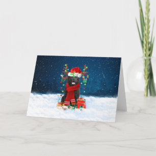 Newfoundland Dog in Snow with Christmas Gifts Card