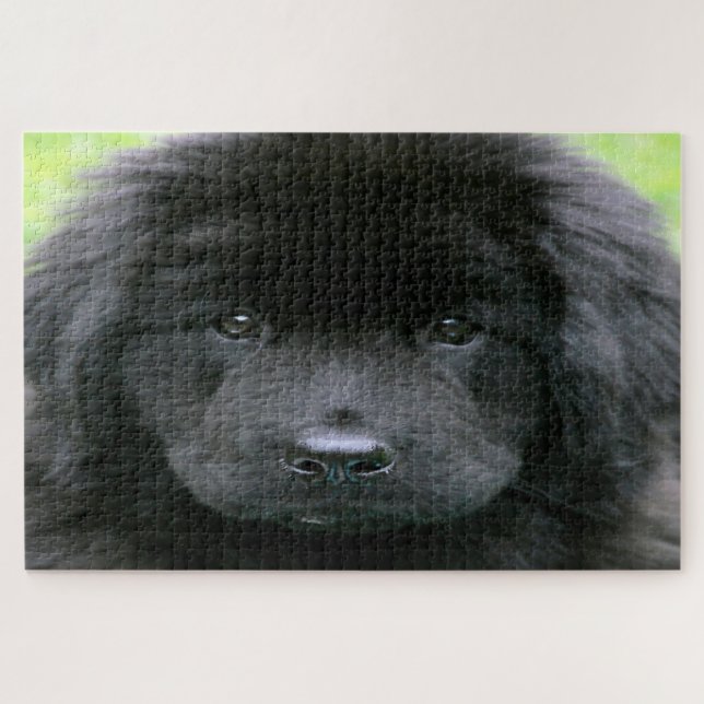 Newfoundland Dog. Jigsaw Puzzle (Horizontal)