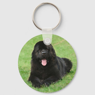 Newfoundland dog keychain