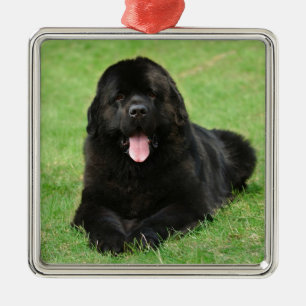 Newfoundland dog metal ornament