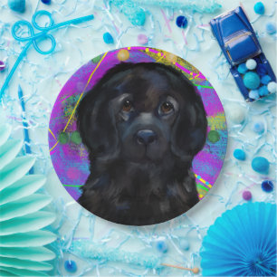 Newfoundland Dog Paper Plate