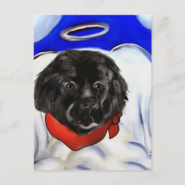 Newfoundland Dog Postcard (Front)