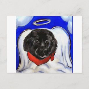 Newfoundland Dog Postcard