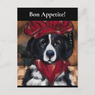 Newfoundland Dog      Postcard