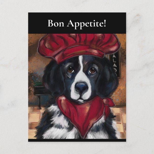 Newfoundland Dog      Postcard (Front)