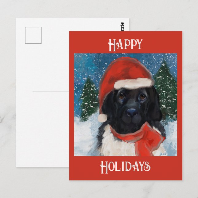 NEWFOUNDLAND  DOG POSTCARD (Front/Back)