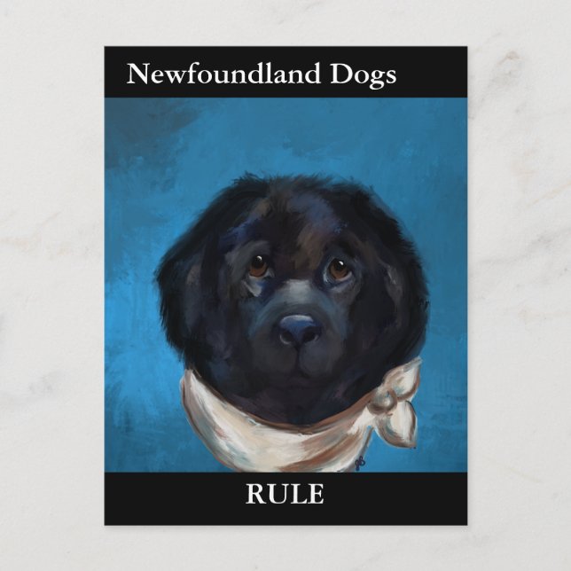 Newfoundland Dog                 Postcard (Front)