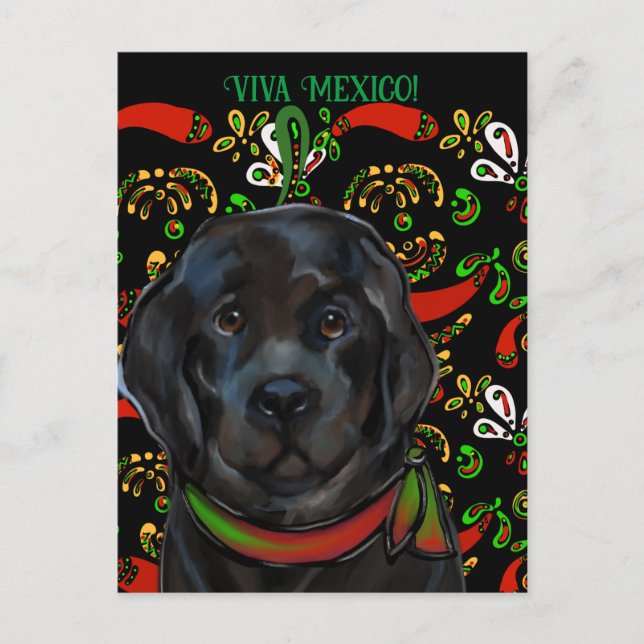 Newfoundland Dog   Postcard (Front)