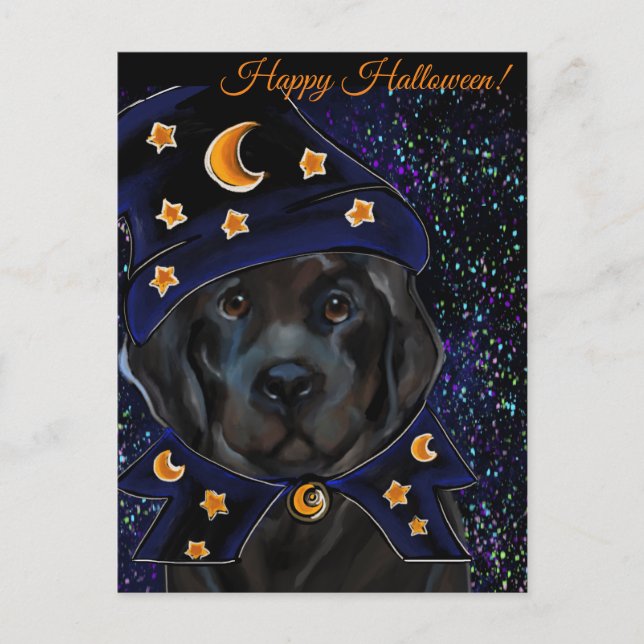 Newfoundland Dog   Postcard (Front)