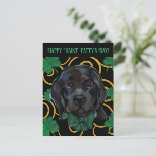 Newfoundland Dog   Postcard