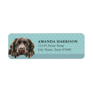 Newfoundland Dog Return Address Labels