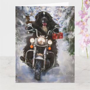 Newfoundland Dog Riding Motorcycle Christmas  Card