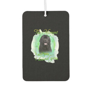 Newfoundland Dog   The Moment I Saw You I Love You Air Freshener