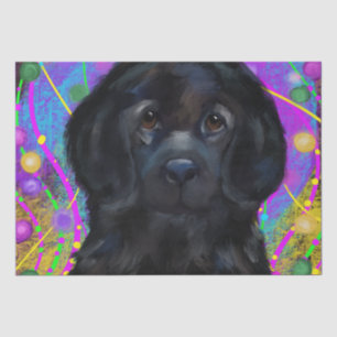 Newfoundland Dog                    Tissue Paper