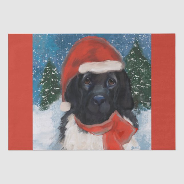 NEWFOUNDLAND  DOG TISSUE PAPER (Front)