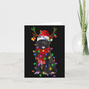 Newfoundland Dog Tree Christmas Lights Xmas Pajama Card