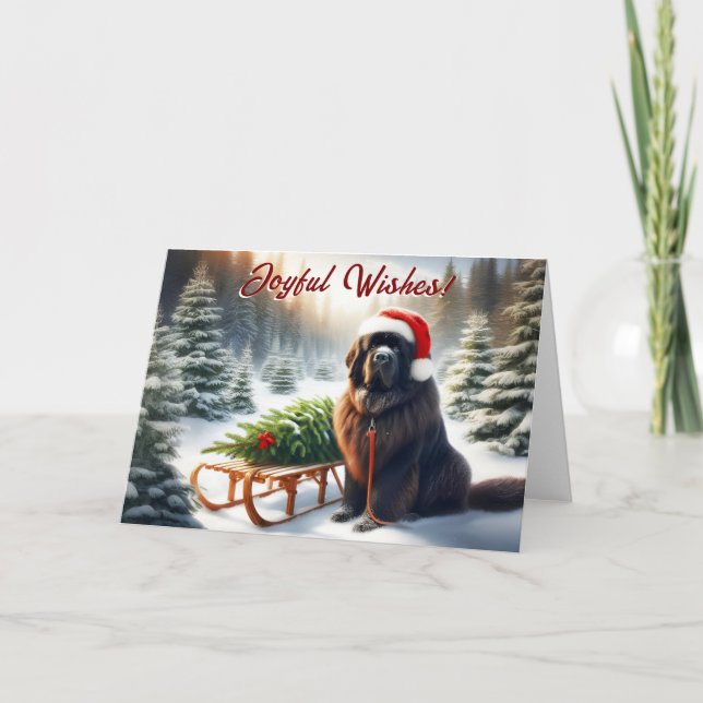 Newfoundland Dog Tree Pull Sled Christmas Card (Front)