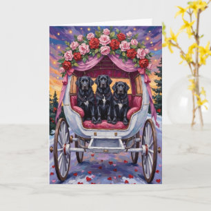 Newfoundland Dog Valentine's Day  Card