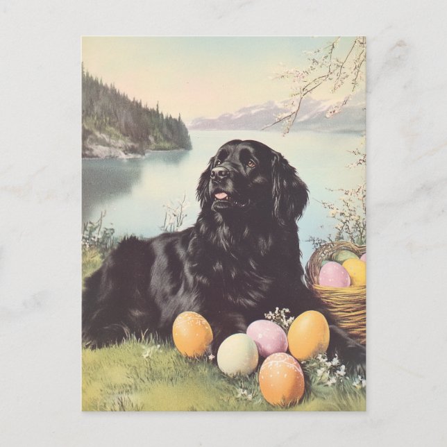 Newfoundland dog Vintage Easter Postcard (Front)