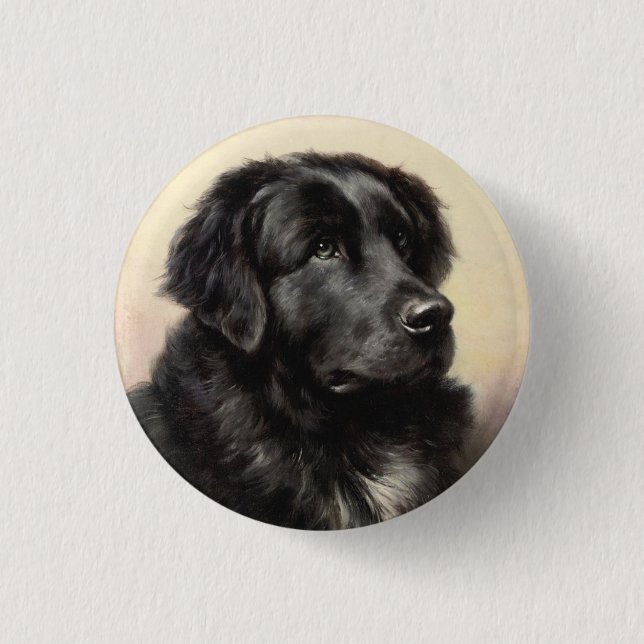 Newfoundland dog vintage realistic paint 1 inch round button (Front)